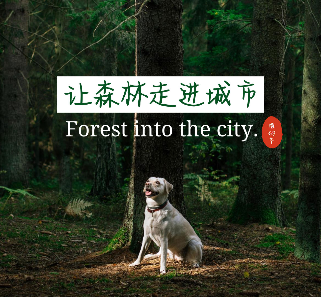 植樹節(jié)圖片